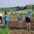 Grassoden und Steine werden entfernt 